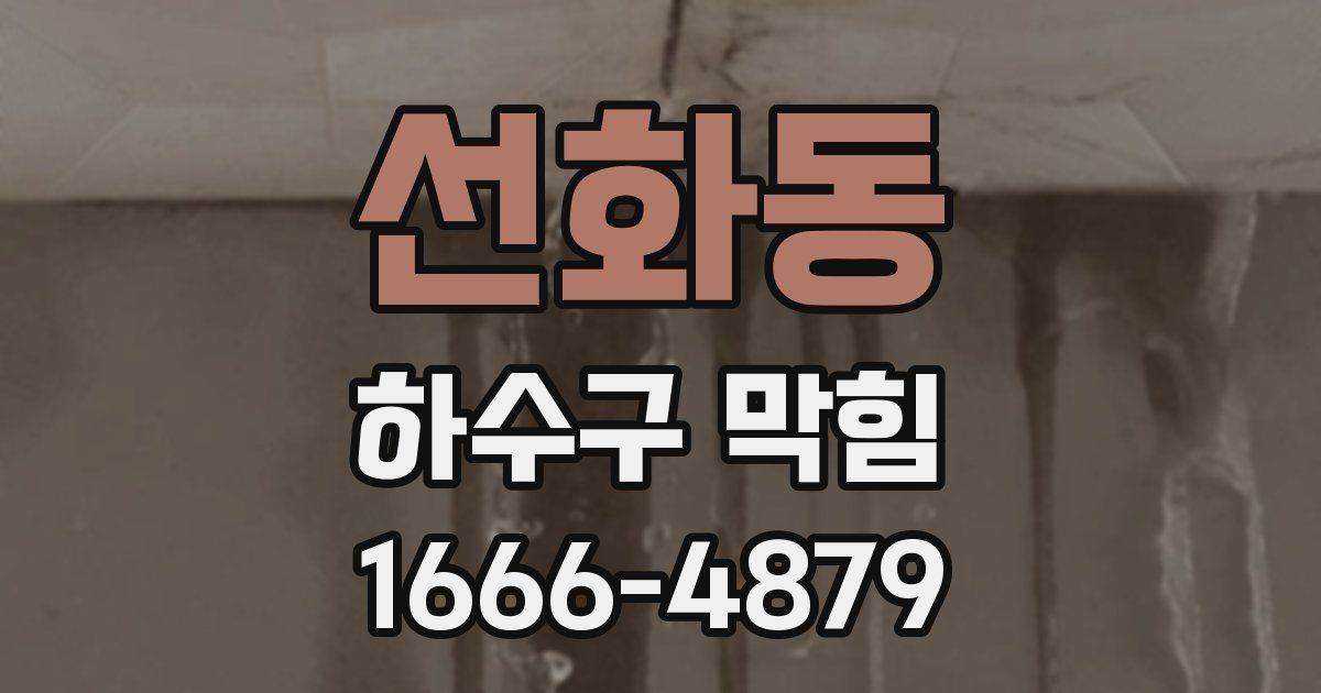 선화동 하수구 막힘