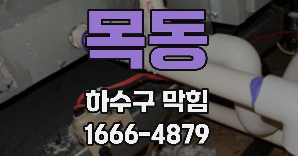 목동 하수구 막힘