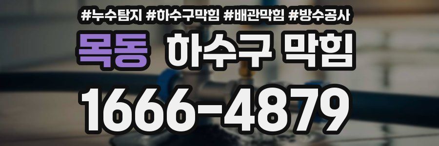 목동 하수구 막힘
