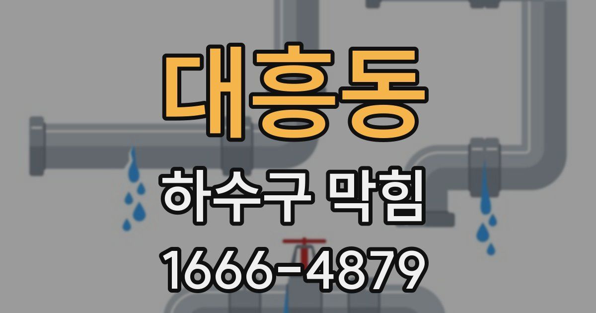 대흥동 하수구 막힘