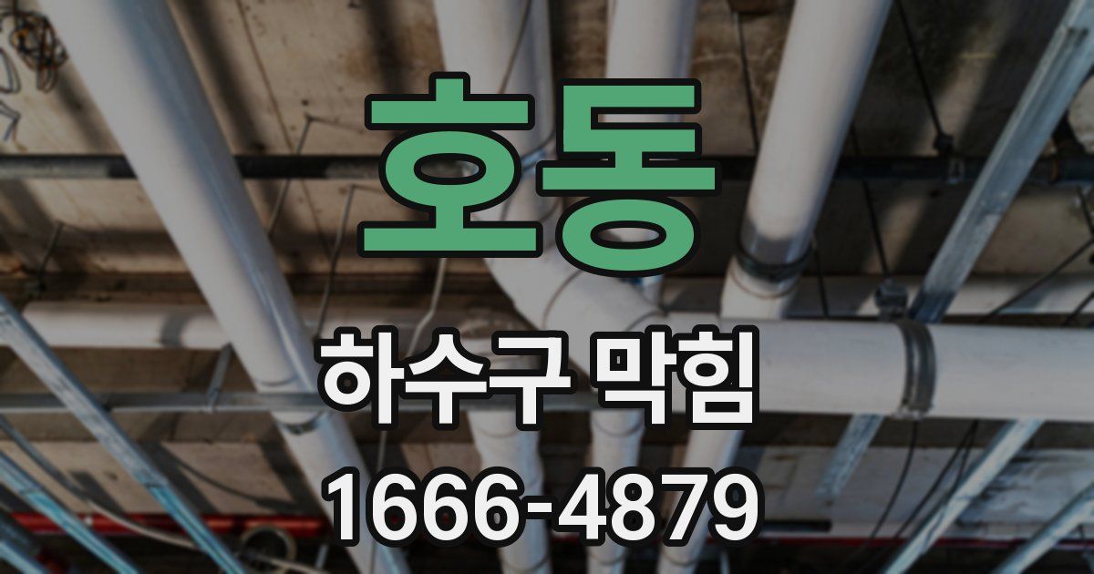 호동 하수구 막힘