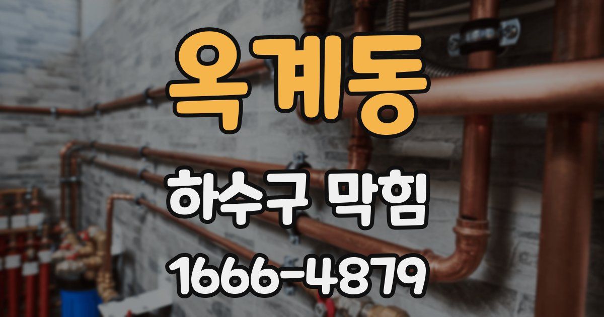 옥계동 하수구 막힘