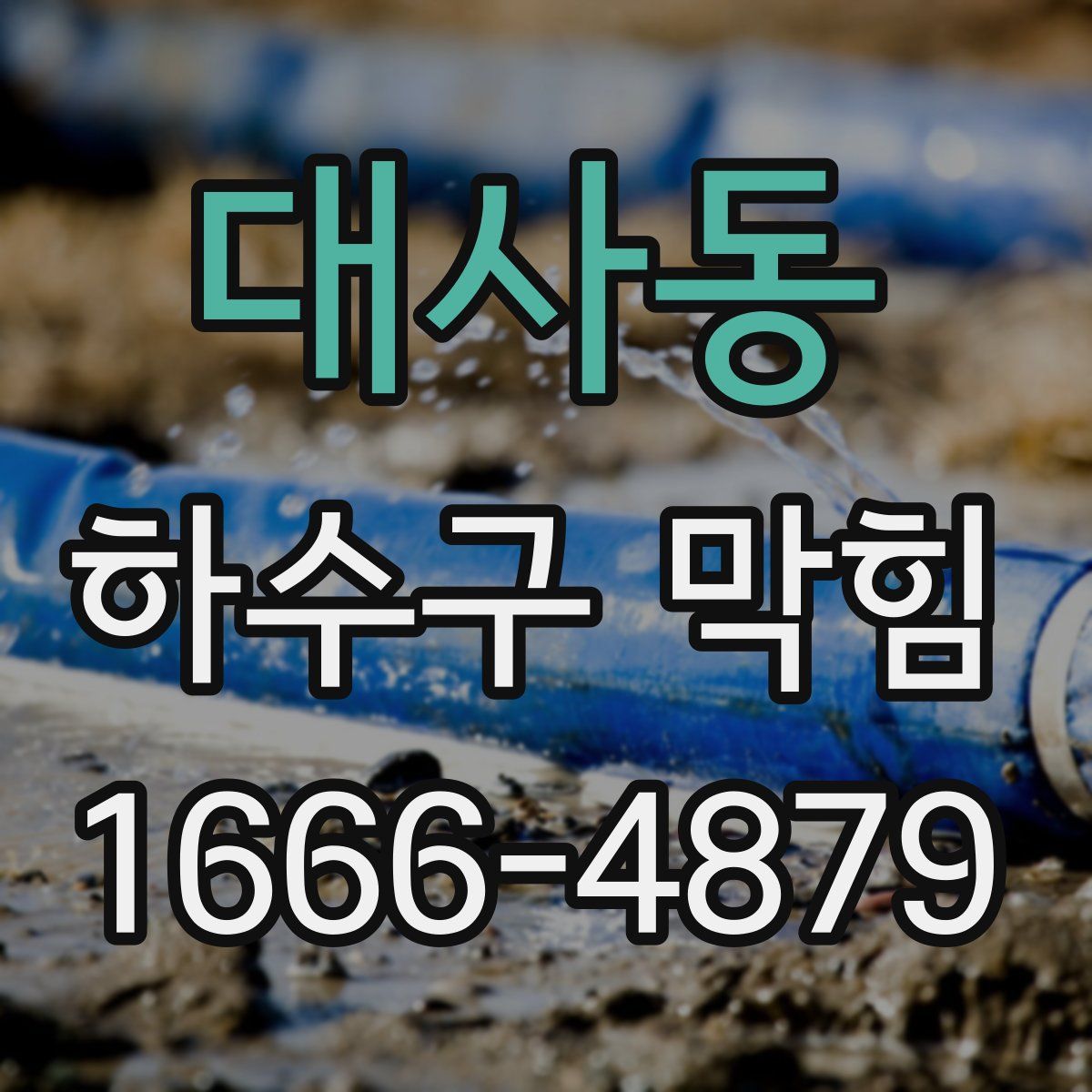 대사동 하수구 막힘