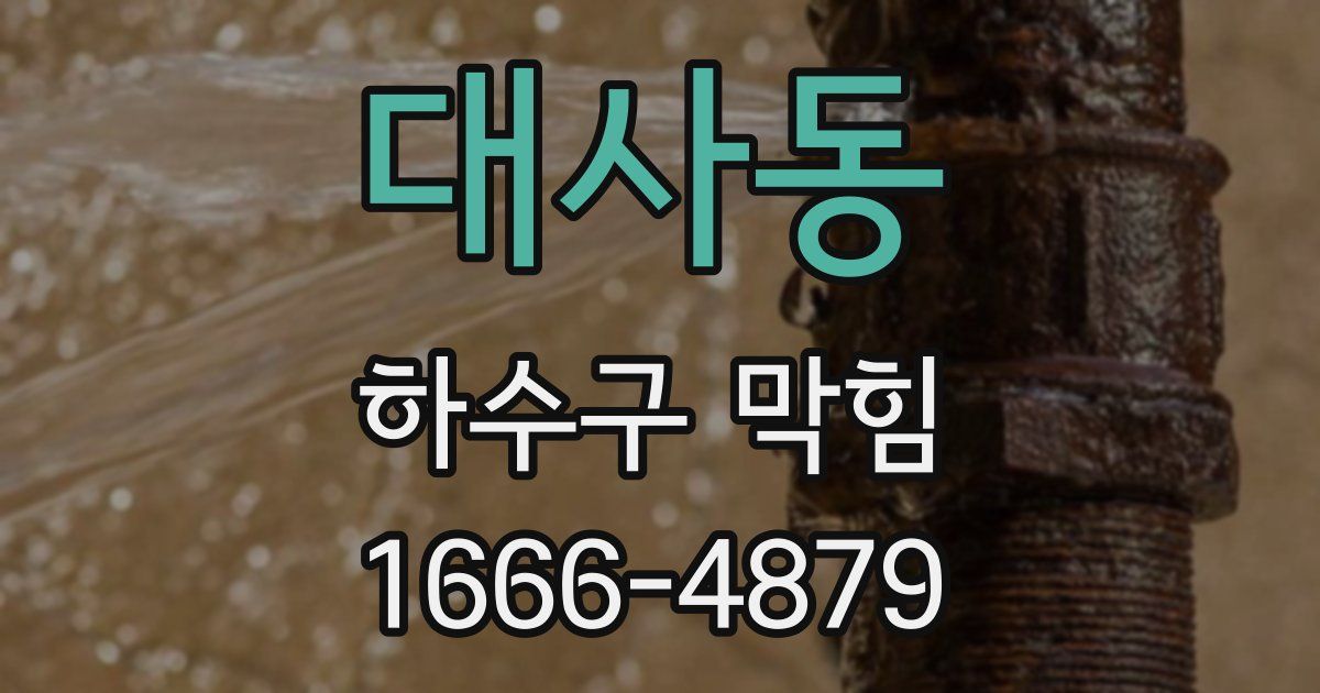 대사동 하수구 막힘