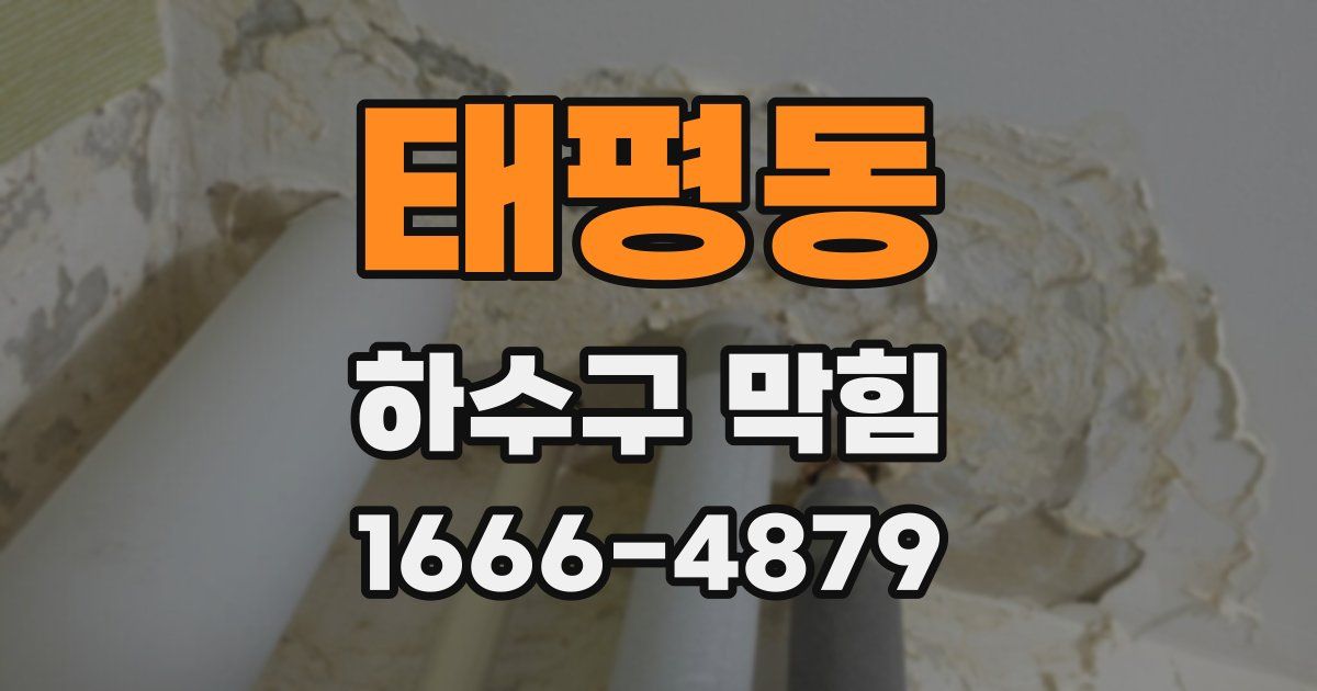 태평동 하수구 막힘