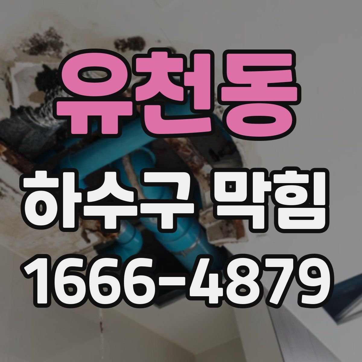 유천동 하수구 막힘