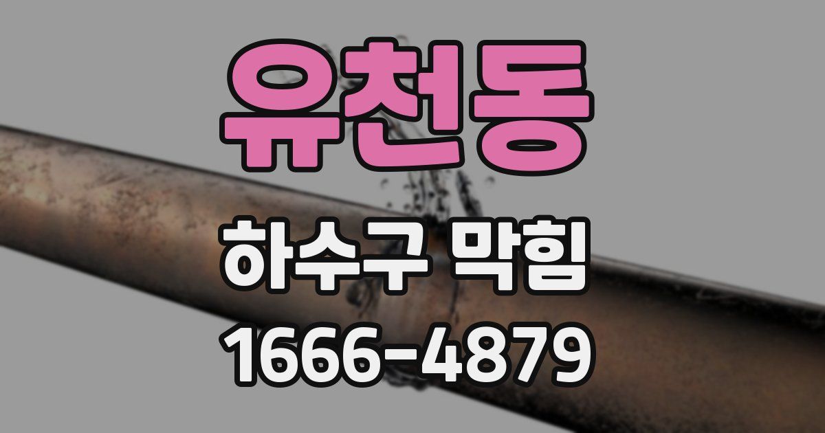 유천동 하수구 막힘