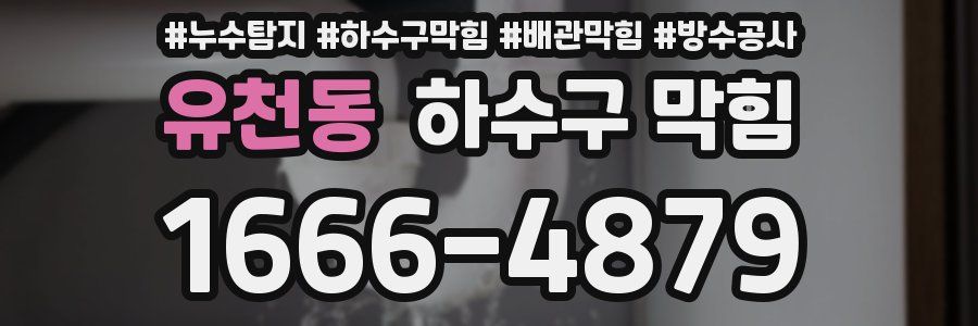 유천동 하수구 막힘