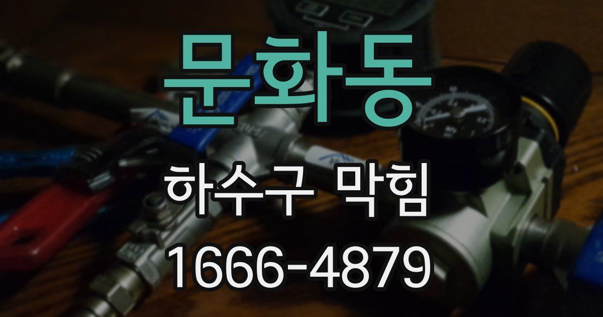문화동 하수구 막힘