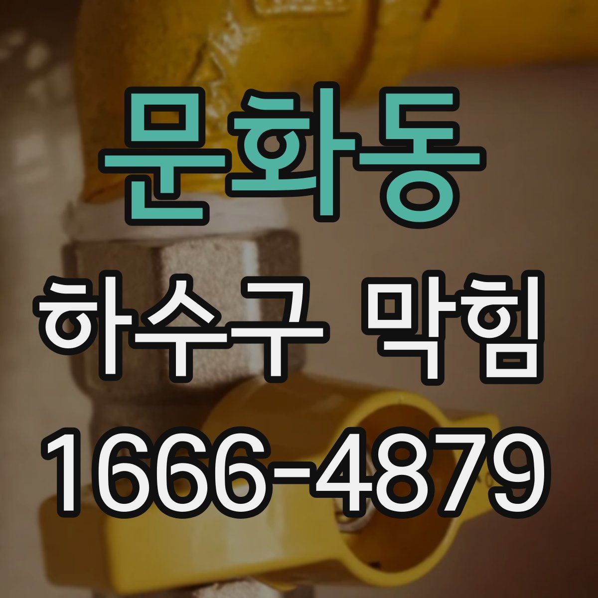 문화동 하수구 막힘