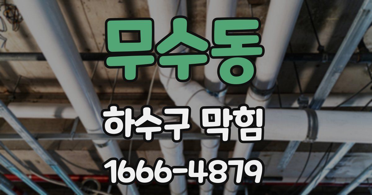 무수동 하수구 막힘