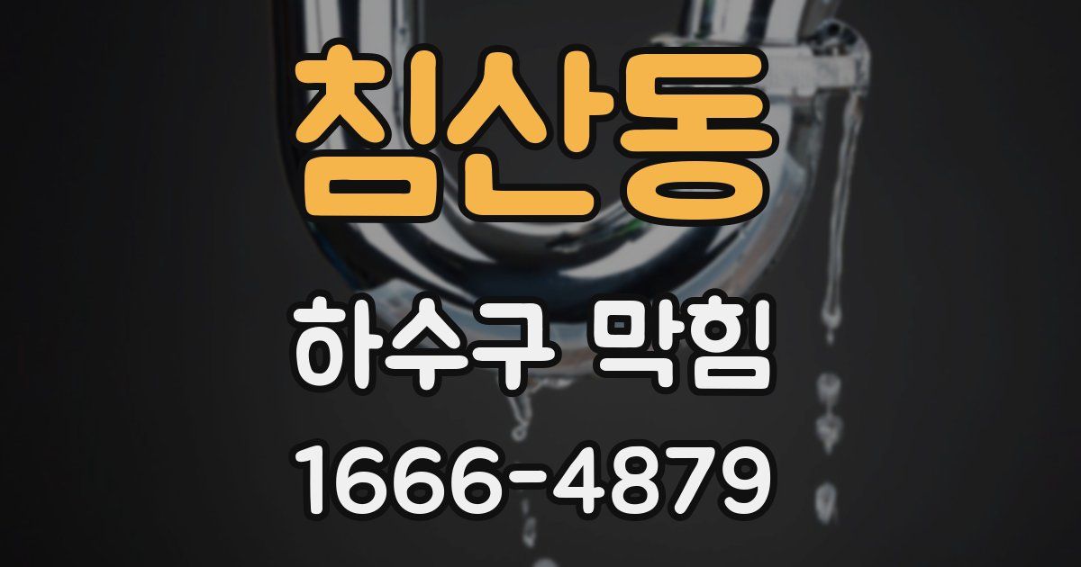 침산동 하수구 막힘
