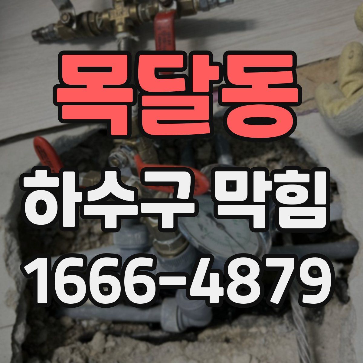 목달동 하수구 막힘