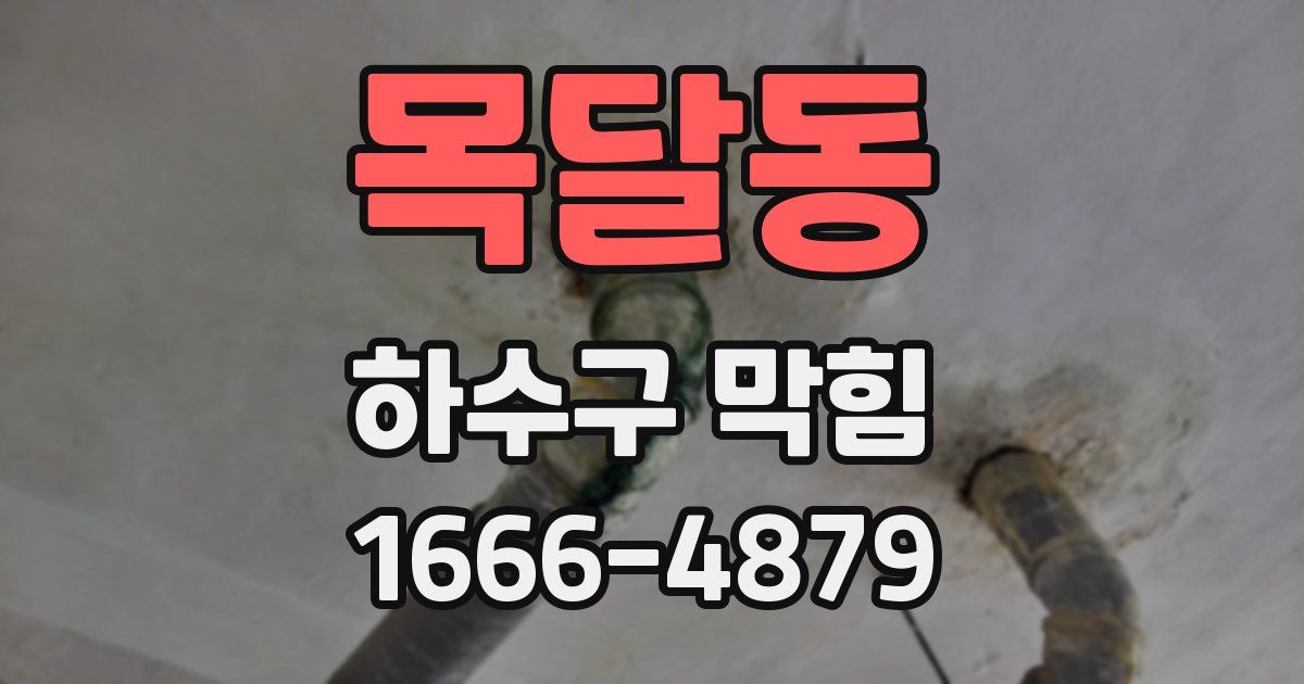목달동 하수구 막힘