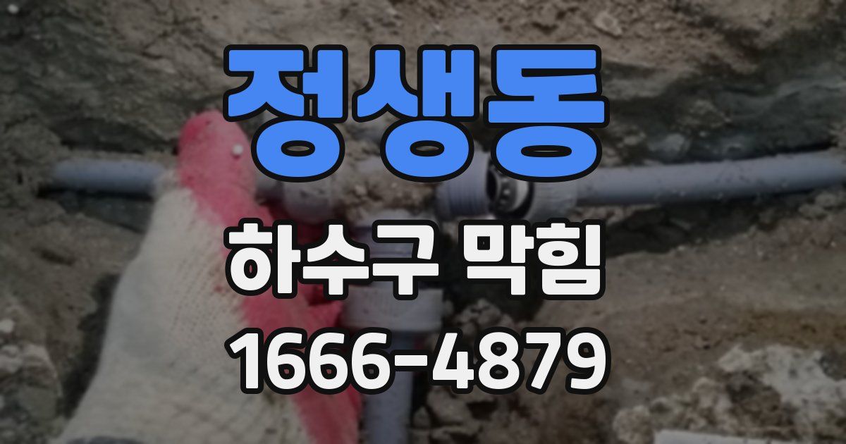 정생동 하수구 막힘