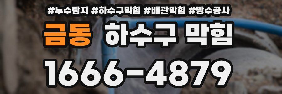금동 하수구 막힘