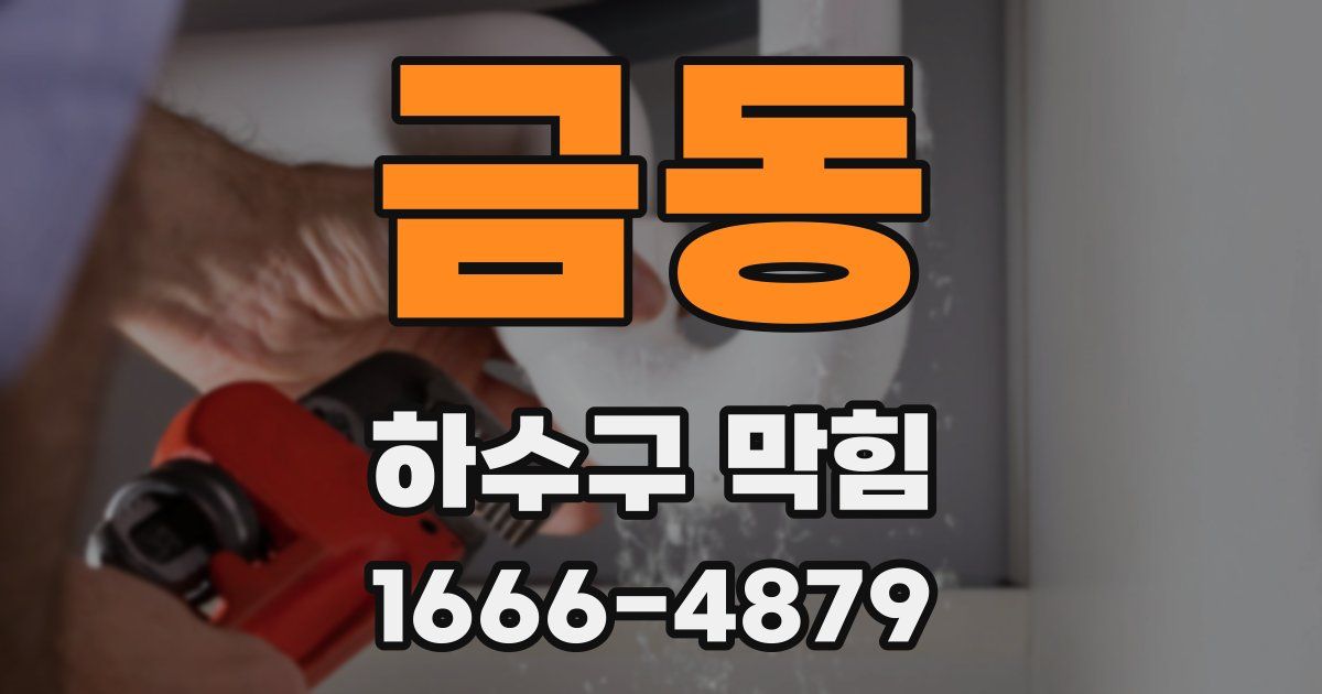 금동 하수구 막힘