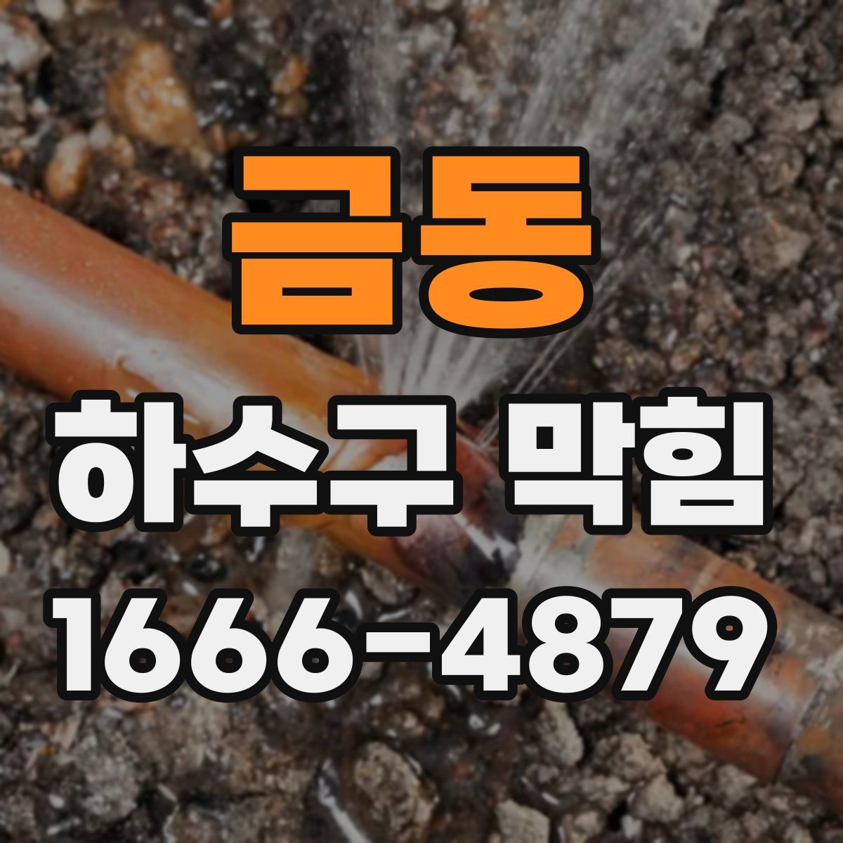 금동 하수구 막힘