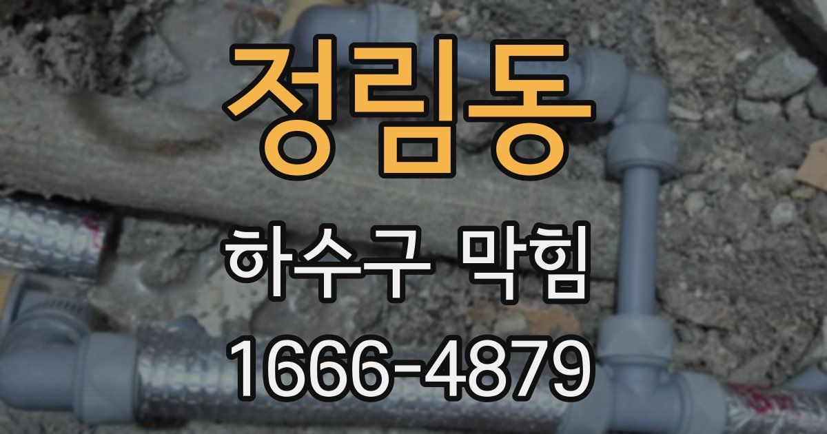 정림동 하수구 막힘
