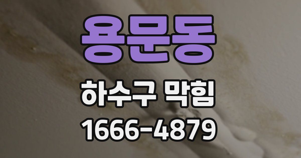 용문동 하수구 막힘