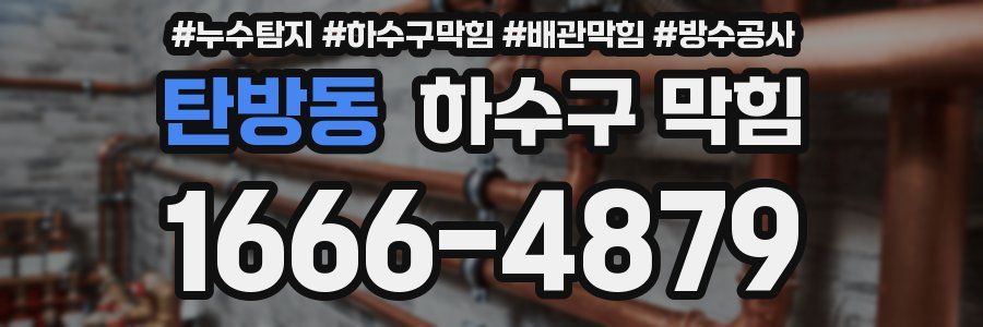 탄방동 하수구 막힘
