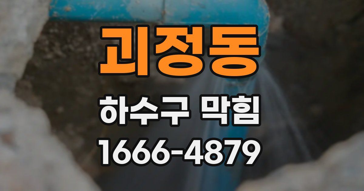 괴정동 하수구 막힘