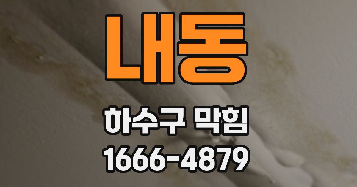 내동 하수구 막힘