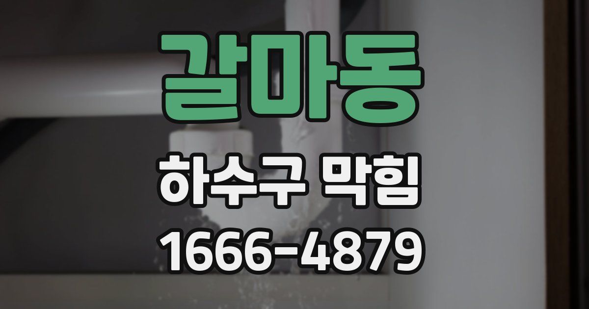갈마동 하수구 막힘