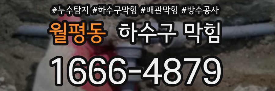 월평동 하수구 막힘