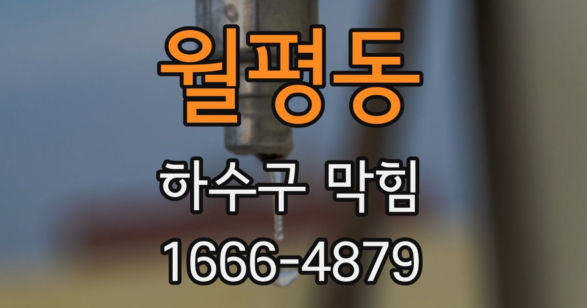 월평동 하수구 막힘
