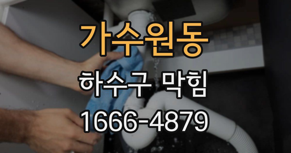 가수원동 하수구 막힘