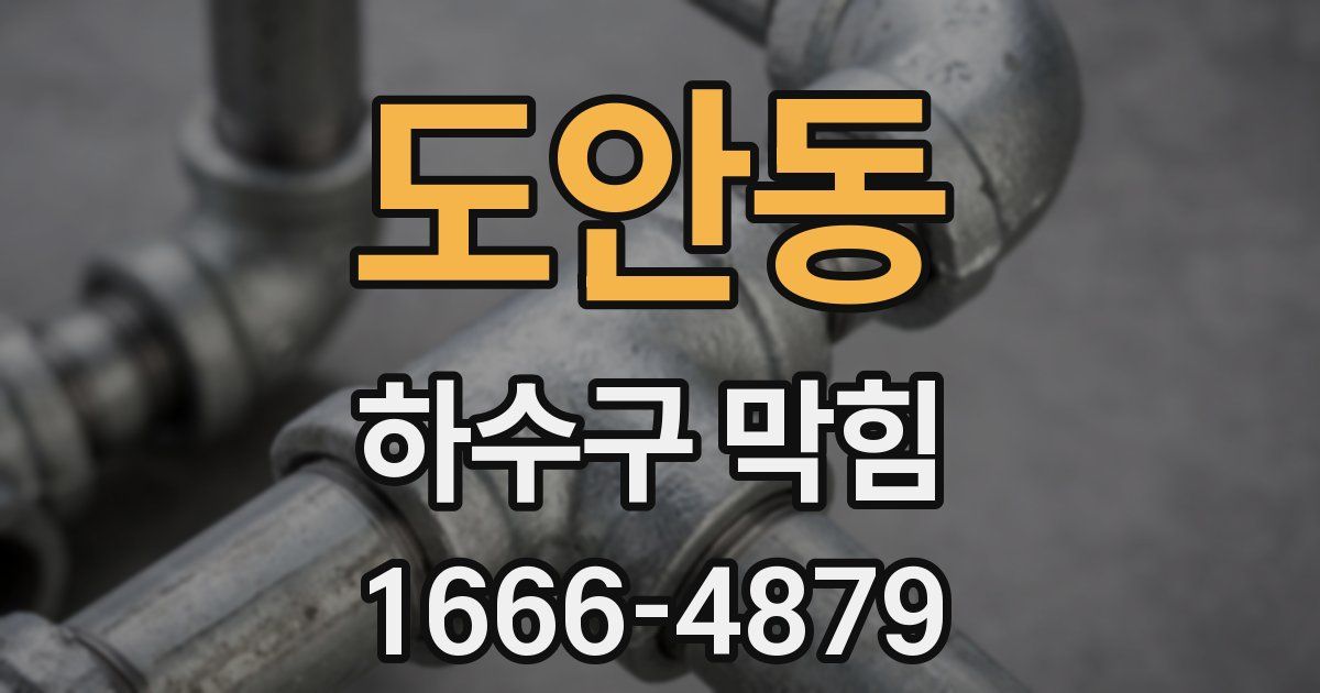 도안동 하수구 막힘