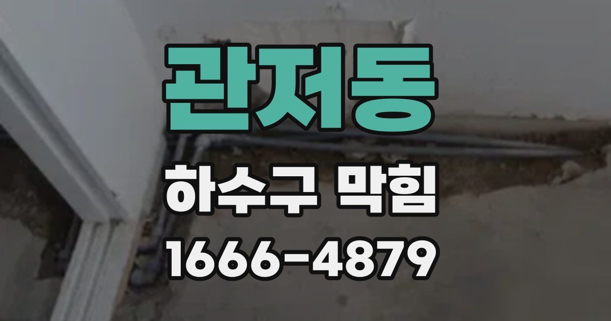 관저동 하수구 막힘