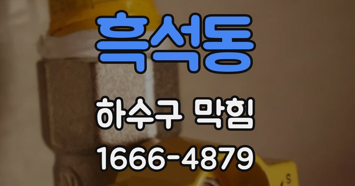 흑석동 하수구 막힘