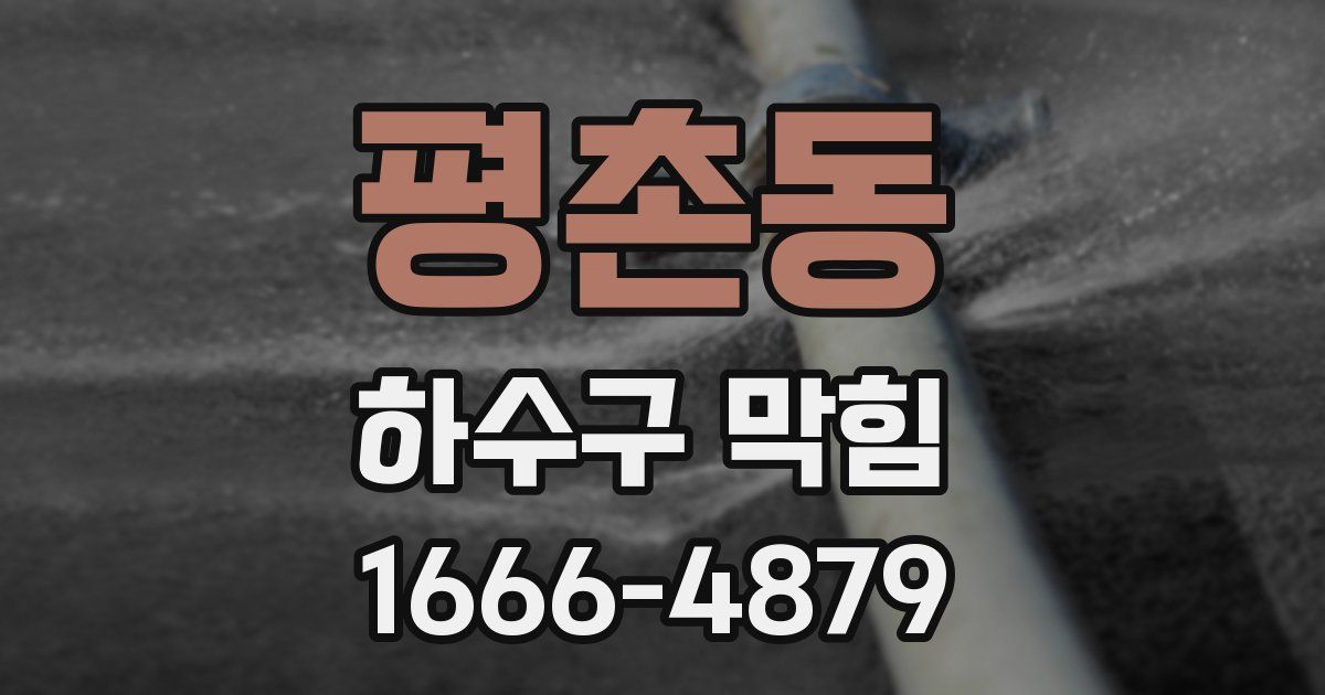 평촌동 하수구 막힘