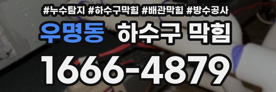 우명동 하수구 막힘