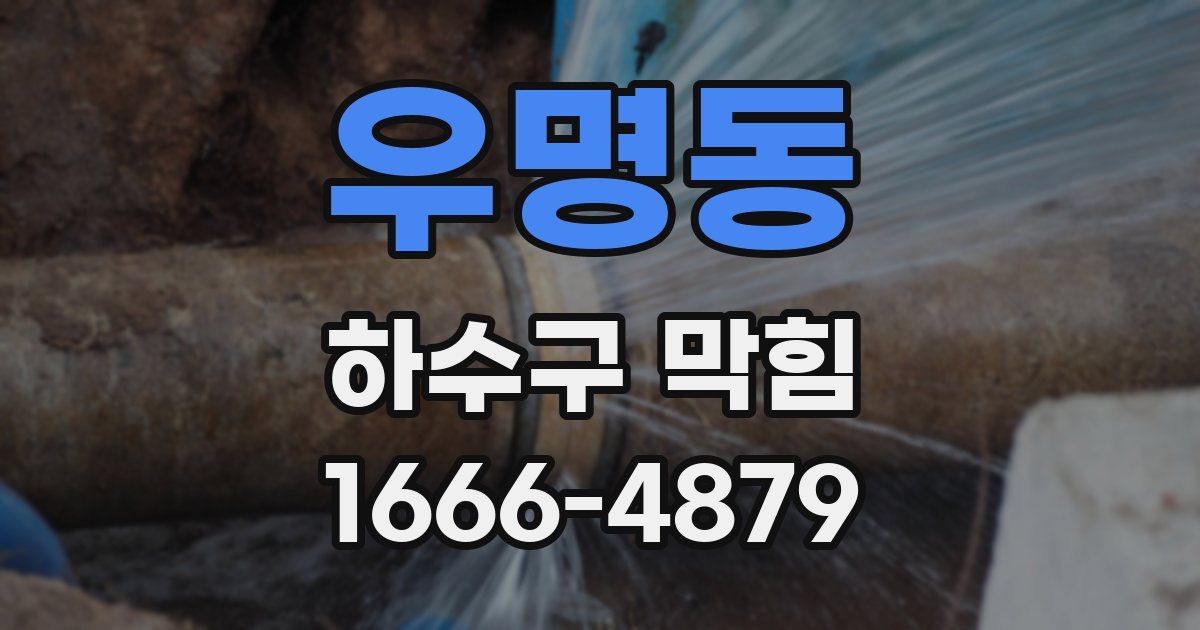 우명동 하수구 막힘