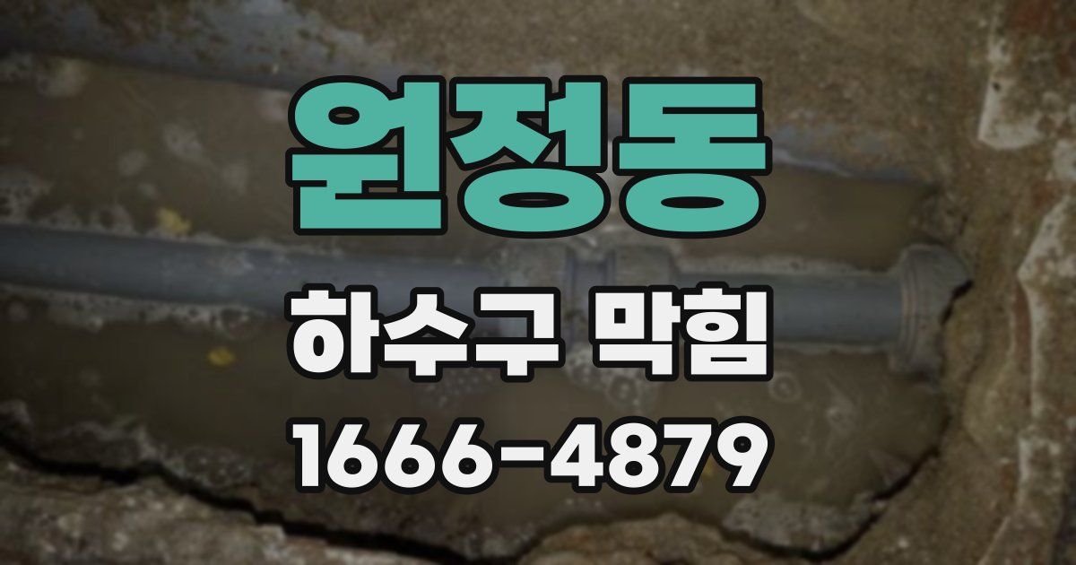 원정동 하수구 막힘