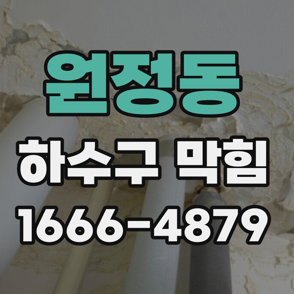 원정동 하수구 막힘