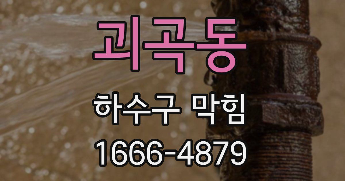괴곡동 하수구 막힘
