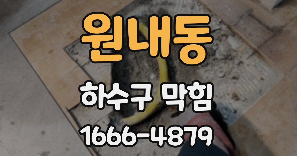 원내동 하수구 막힘