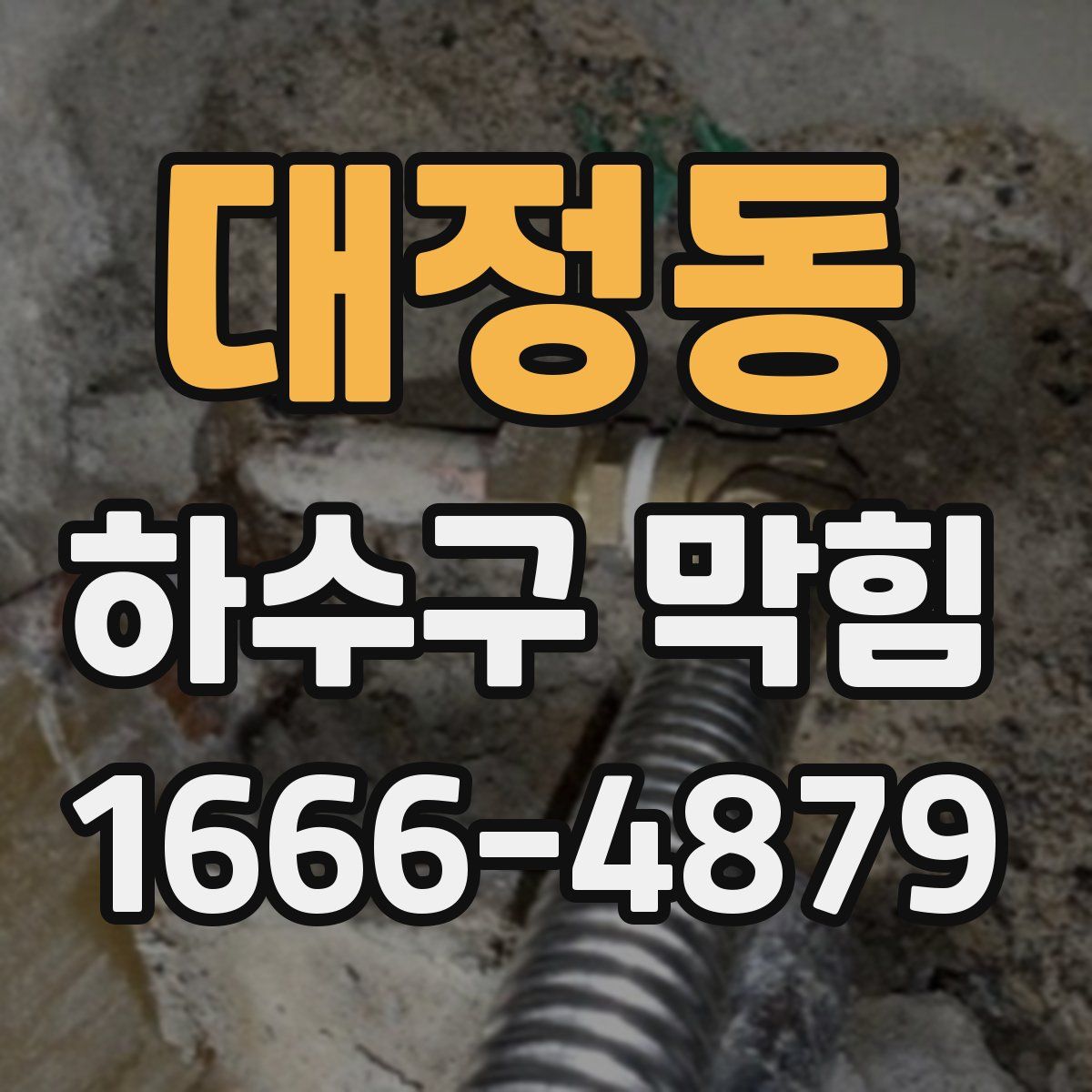 대정동 하수구 막힘