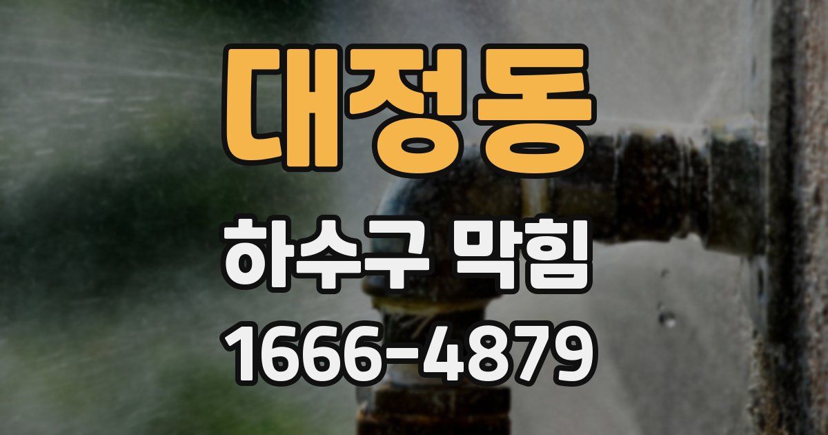 대정동 하수구 막힘