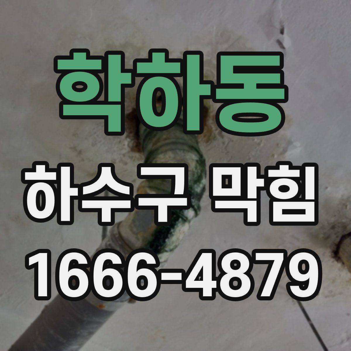 학하동 하수구 막힘