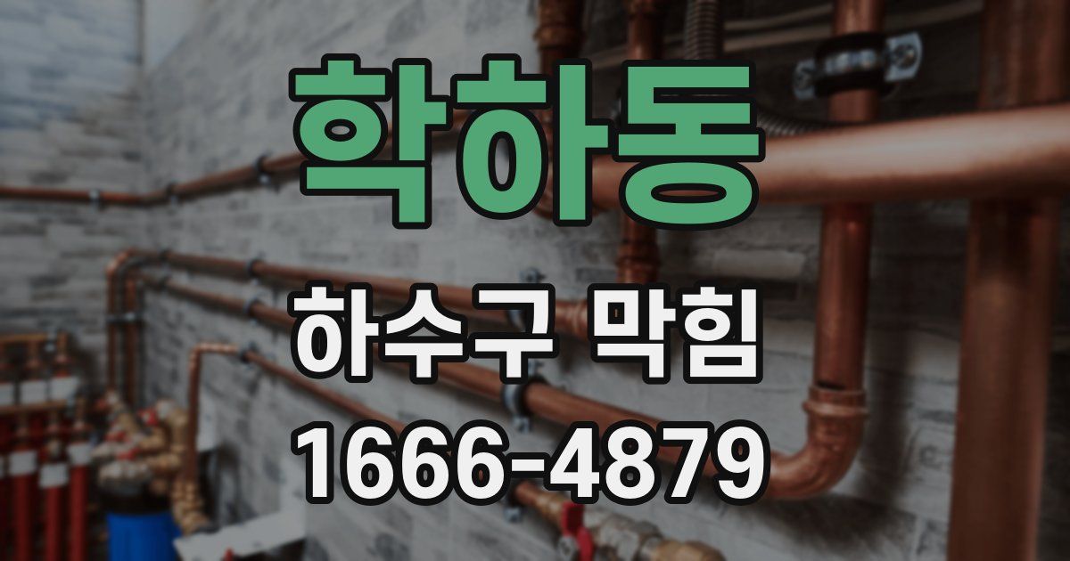 학하동 하수구 막힘