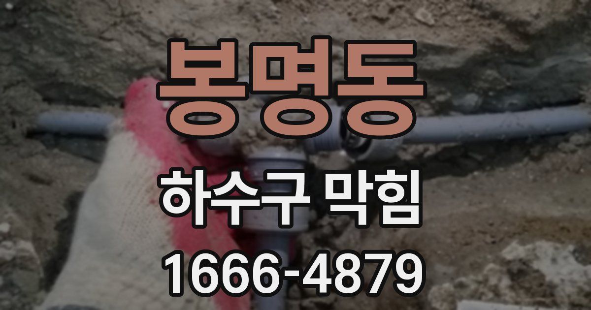 봉명동 하수구 막힘