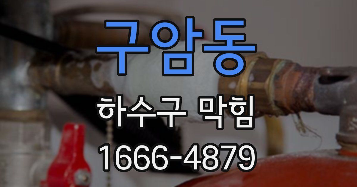 구암동 하수구 막힘