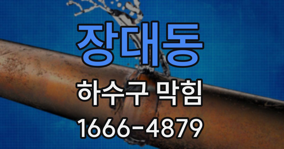 장대동 하수구 막힘