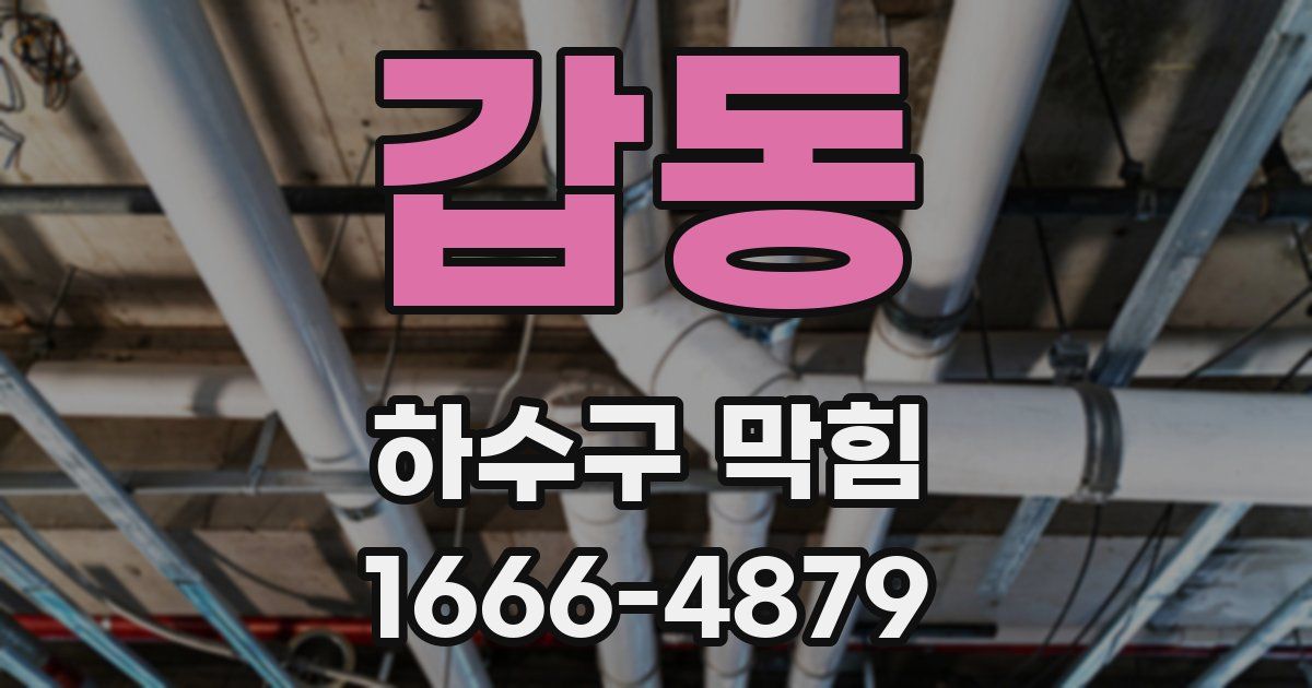 갑동 하수구 막힘