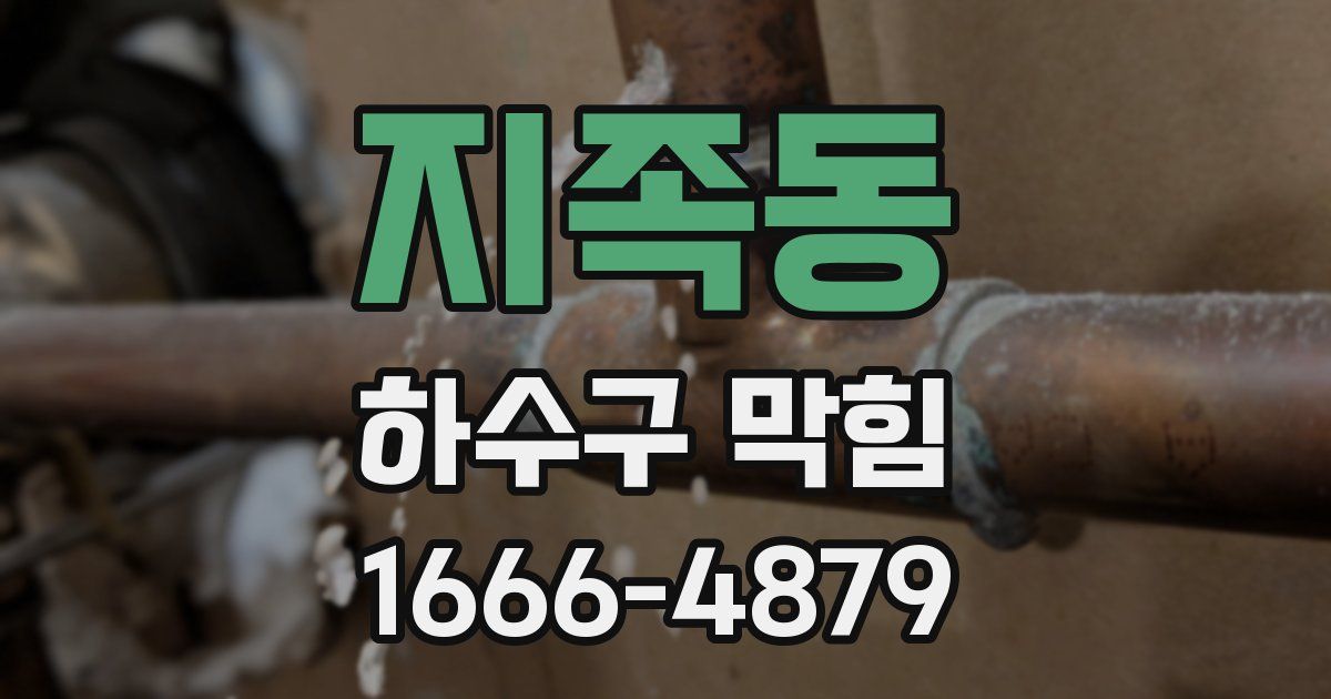 지족동 하수구 막힘